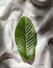 Top-down view of guava leaf on white linen fabric, soft shadows, organic mood, clean layout for natural skincare branding.