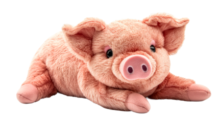 Cute plush pig lying down, looking at camera. cut out transparent
