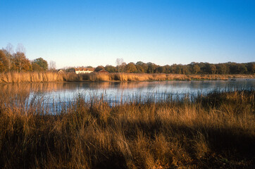 Etang, Sologne, Loir et Cher, 41, Région Centre, France