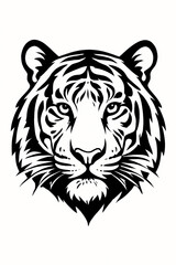 white tiger head