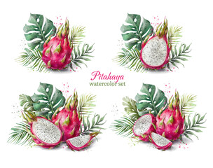 Watercolor pink dragon fruit clipart. Pitahaya set with tropical leaves. Digital illustration.	