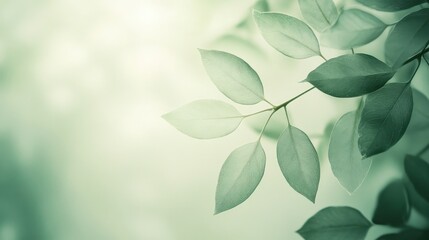 Green Leaves Against Soft Blurred Background