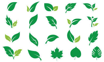 Naklejka premium Green leaf icons set. Leaf, plant, logo, green, leaves, nature symbol icon set of vector designs.
