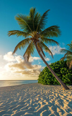 Tropical Paradise Beach at Sunset