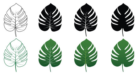 Fototapeta premium Monstera leaf set tropical plants, Vector