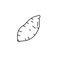 Sweet potato icon representing concepts of healthy vegetables and nutritious diets