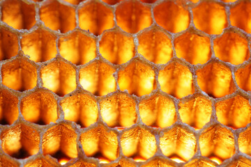 Honeycomb Structure with Warm Light Illuminating Hexagonal Cells
