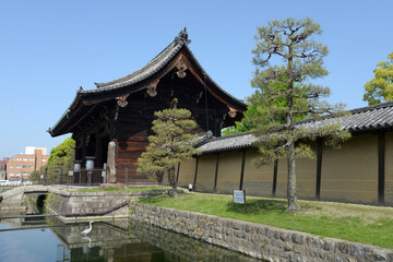 新緑の東寺　南大門　京都市南区