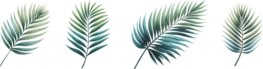 Vector  watercollor painted tropical palm trees