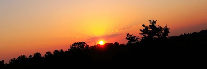 Fototapeta premium Fiery Sunset Silhouette: Trees and Sky in Warm Hues