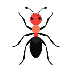 Ant vector illustration