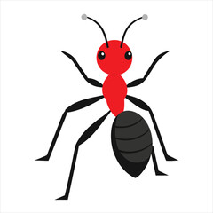 Ant vector illustration