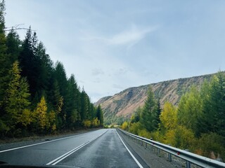 Fototapeta premium Scenic autumn road through altai mountains with colorful foliage and fir trees for nature travel inspiration