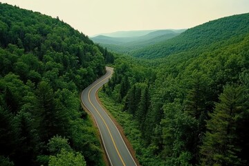 Fototapeta premium Serpentine road winding through lush green mountain forest landscape aerial view capturing nature's beauty and tranquility on a scenic drive adventure