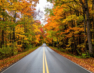 Obraz premium Scenic Autumn Road Surrounded by Vibrant Fall Foliage and Trees