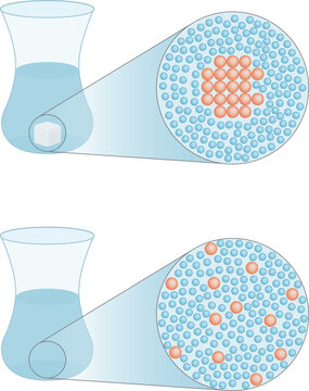 Chemical. Sugar soluble in water. Solubility of sugar and water. Sugar is the solute and water is the solvent that shows three dissolution states. Vector Illustration.
