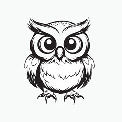 owl on white background