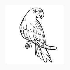 Fototapeta premium vector illustration of a parrot