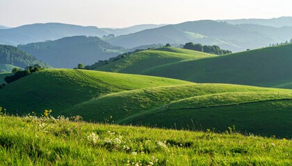 Obraz premium Serene Rolling Hills Landscape Lush Green Meadows and Distant Mountains