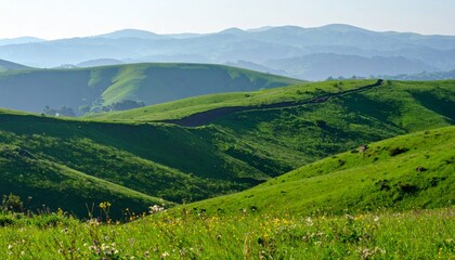 Fototapeta premium Serene Green Hills A Panoramic View of Rolling Hills and Lush Meadows