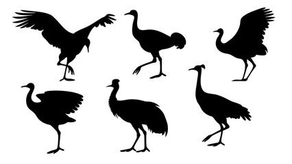 set of bustard bird silhouette