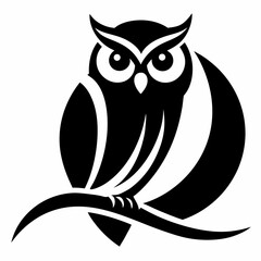 owl on white background