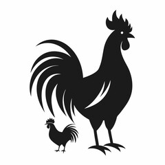Rooster  and hen isolated on a white background