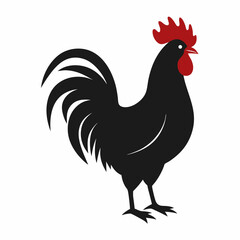 Rooster chicken isolated vector on a white background