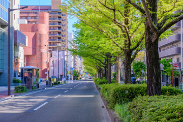 新緑の杜の都仙台を歩く
