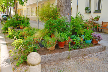 Buntes Blumenbeet in der Stra&szlig;e einer Gro&szlig;stadt mit Gehweg und Blument&ouml;pfen an einer Baumscheibe / Urban Gardening