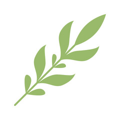 green leaves isolated on white