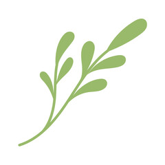 Obraz premium green leaves ornament isolated on white