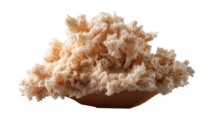 Elegant Coral Mushroom: A close-up shot showcasing a delicate and visually stunning coral mushroom, highlighting its intricate texture and natural beauty.