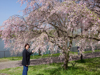 春の満開の桜を楽しむ花見している中年女性主婦の姿