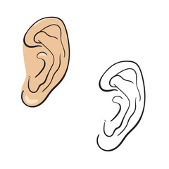 ear vector illustration. Simple design. Drawing. Easy to edit. 