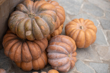 Close up big beautiful pumpkins on a stone floor, copy space