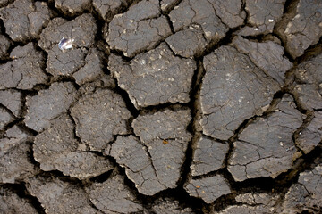 Wall texture soil dry crack pattern of drought lack of water of nature brown old broken background.