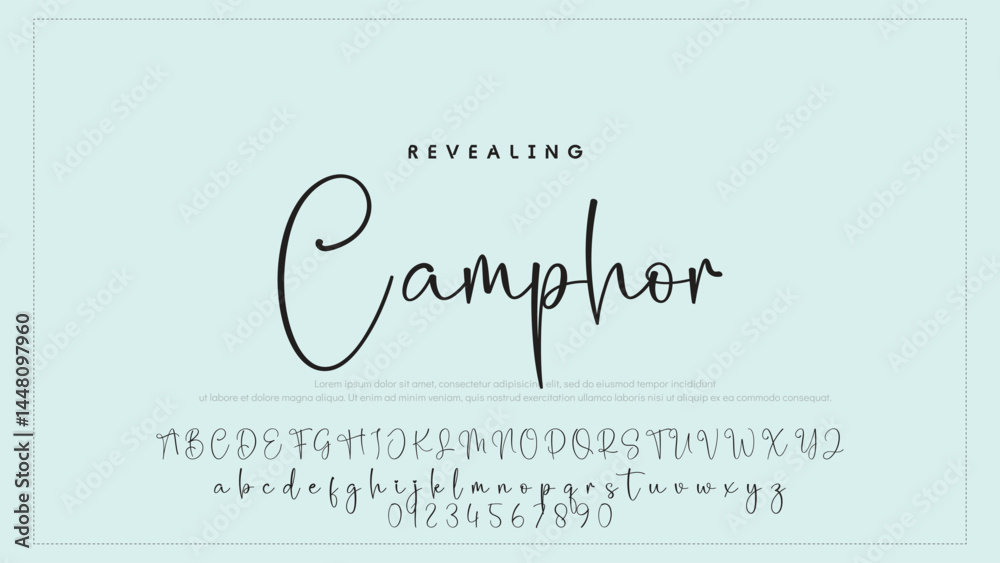 Poster hand drawn vector alphabet. modern monoline signature script font. elegant signature font. best alph