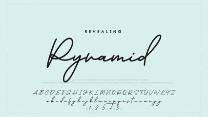Hand drawn vector alphabet. Modern monoline signature script font. Elegant Signature Font. Best Alphabet Beautiful Calligraphy Signature Font
