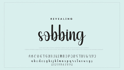 Hand drawn vector alphabet. Modern monoline signature script font. Elegant Signature Font. Best Alphabet Beautiful Calligraphy Signature Font