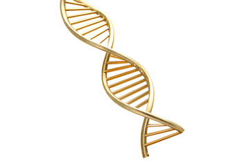 dna strand on white background