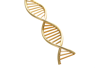 dna strand on white background