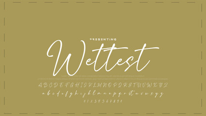 Hand drawn vector alphabet. Modern monoline signature script font. Elegant Signature Font. Best Alphabet Beautiful Calligraphy Signature Font