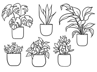 Collection home plants. Potted plants isolated on white.  Home flowers in pots, simple line, black and white