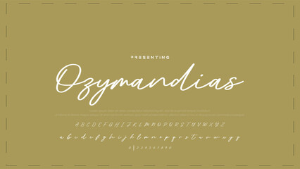 Hand drawn vector alphabet. Modern monoline signature script font. Elegant Signature Font. Best Alphabet Beautiful Calligraphy Signature Font