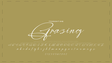 Hand drawn vector alphabet. Modern monoline signature script font. Elegant Signature Font. Best Alphabet Beautiful Calligraphy Signature Font