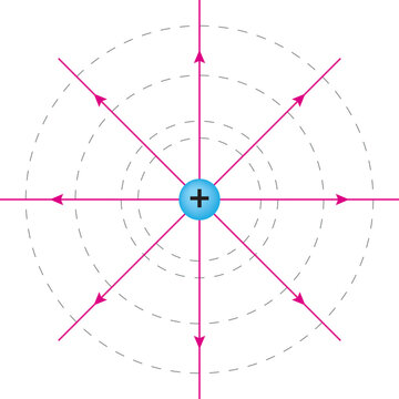 Red electric field lines and dashed gray equipotential surfaces for the blue positive point charge.