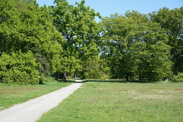 Parklandschaft von Sanssouci im Frühling