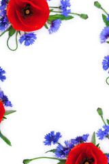 Flowers red poppies ( corn poppy, corn rose, field poppy ), blue flowers cornflower on a white background with space for text. Top view, flat lay