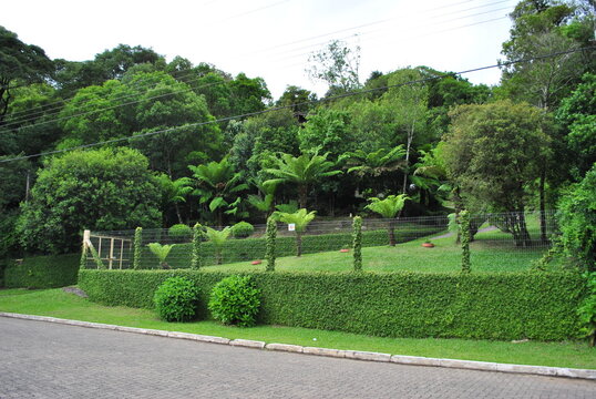 s f de paula